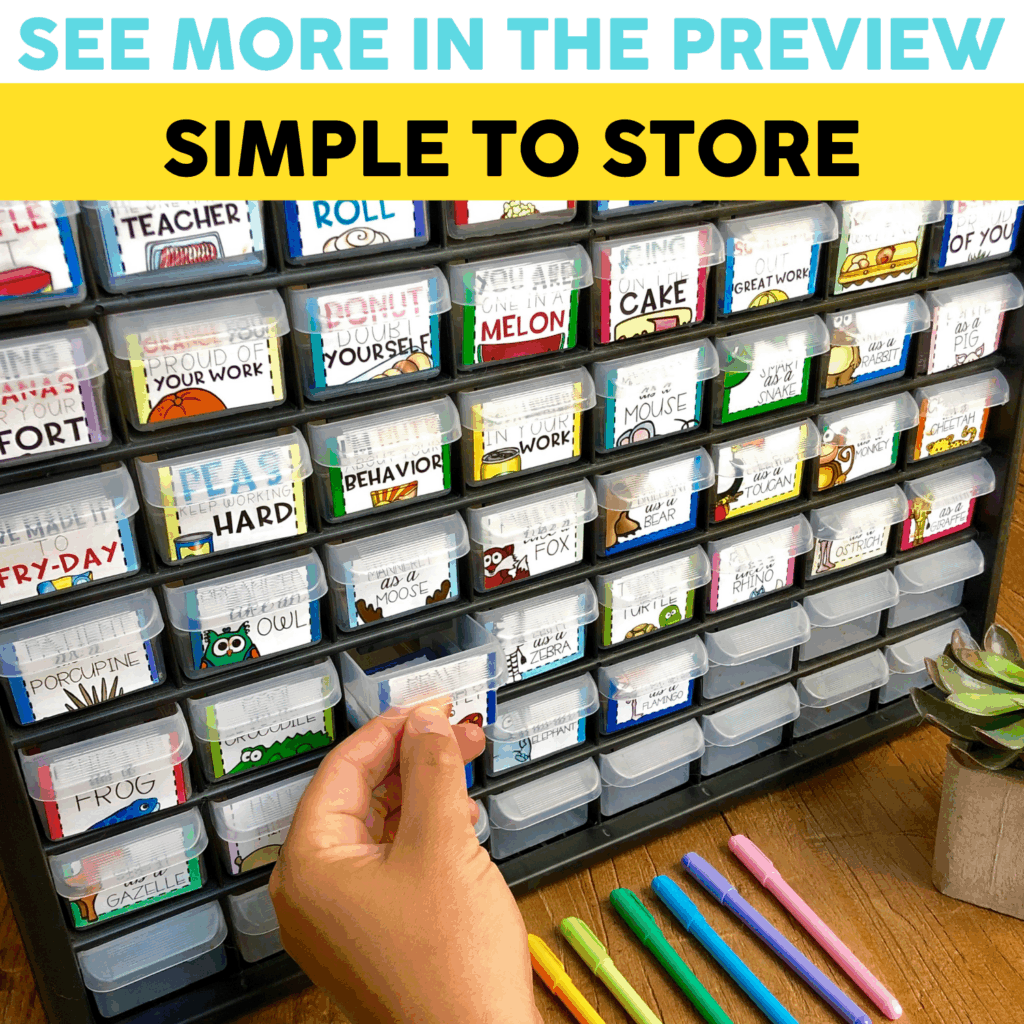 Addition & Subtraction Brag Tags - Lucky Little Learners
