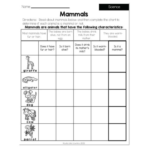 Summer - Early Finishers 2nd Grade - Science - Mammals - Lucky Little Learners