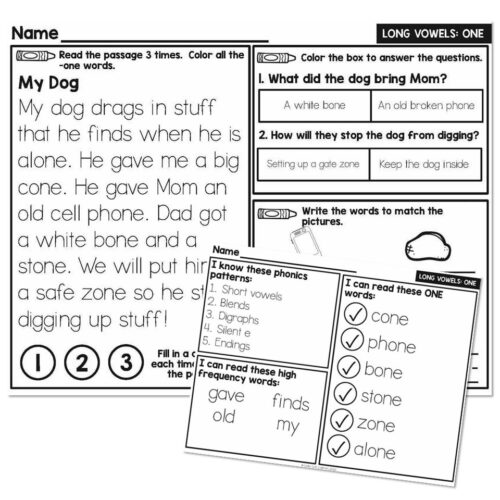 1st Grade Decodable Phonics Passage - Long Vowels - ONE - Lucky Little ...
