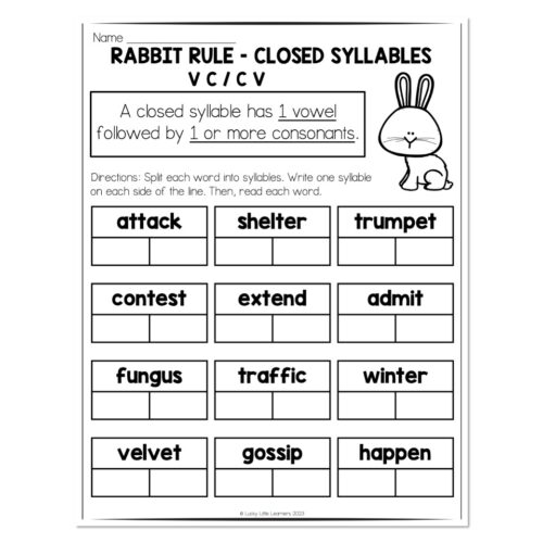 Multisyllable Words Book - Rabbit Rule - Closed Syllable - Dividing ...