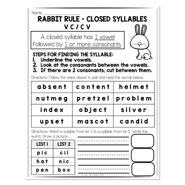 Multisyllable Words Book - Rabbit Rule - Closed Syllable - Reading and ...
