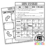 Lucky to Learn Science - Life Cycles - One-Pager - Lucky Little Learners