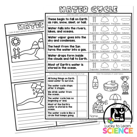 Lucky to Learn Science - Water Cycle - One-Pager - Lucky Little Learners
