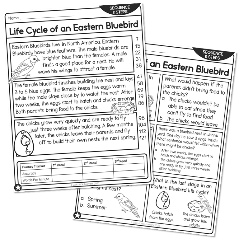 2nd Grade Sequencing Nonfiction Reading Passage - Life Cycle of an ...