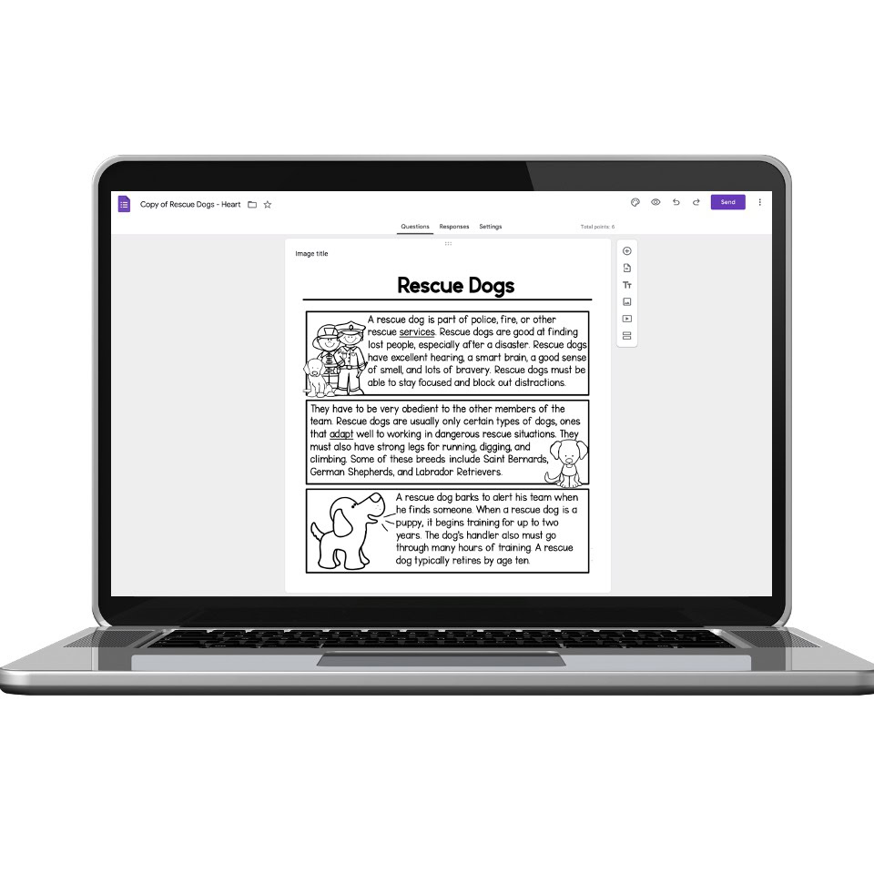 Digital 2nd Grade Reading Passage - Vocabulary and Context Clues ...