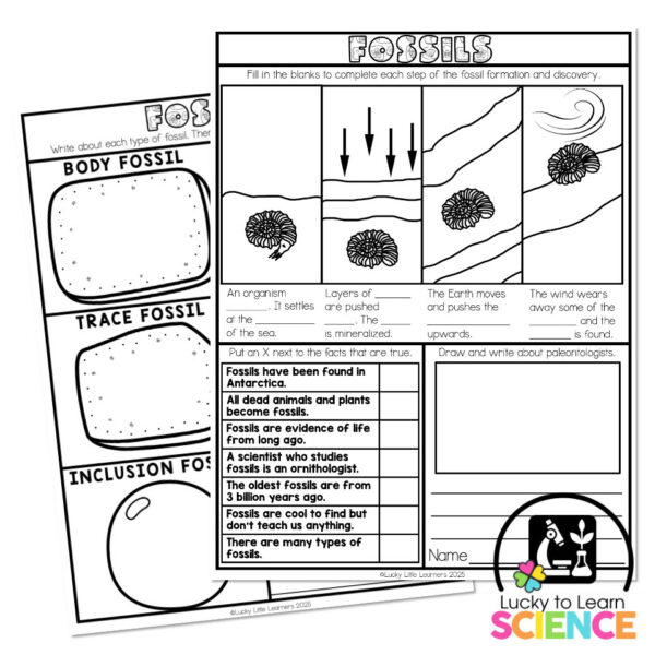Lucky to Learn Science - Fossils - One-Pager - Lucky Little Learners