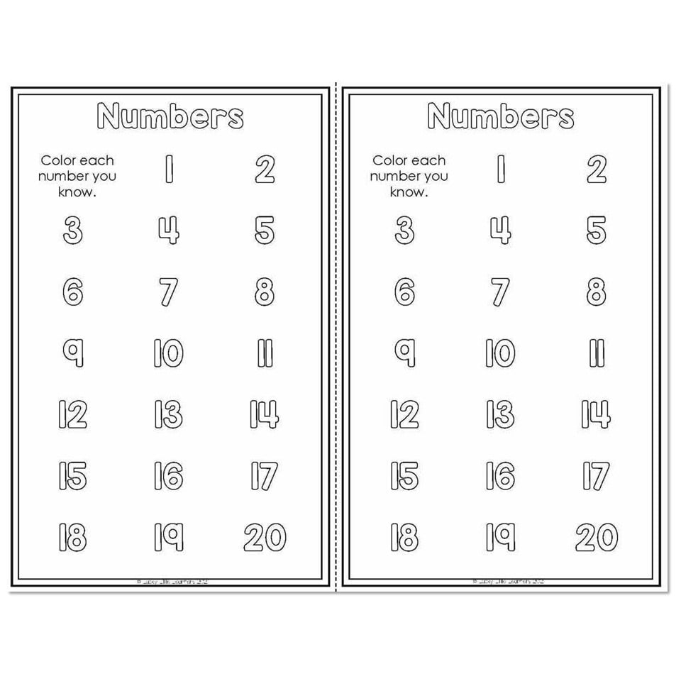 Small Group and Intervention Math Kit - Assessment and Data - Student ...