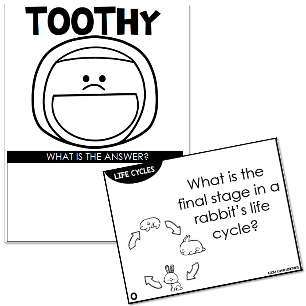 Toothy - Science - 2nd Grade - Life Cycles - Lucky Little Learners