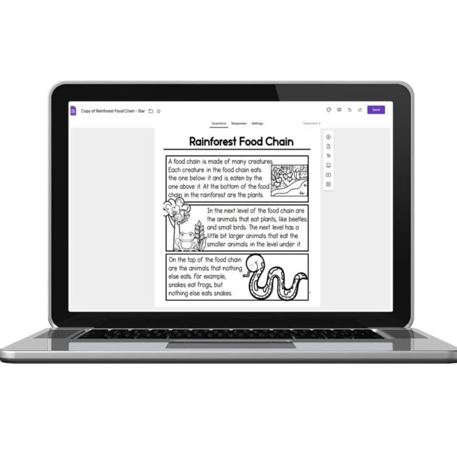 Digital 2nd Grade Reading Passage - Sequencing and Steps - Rainforest ...