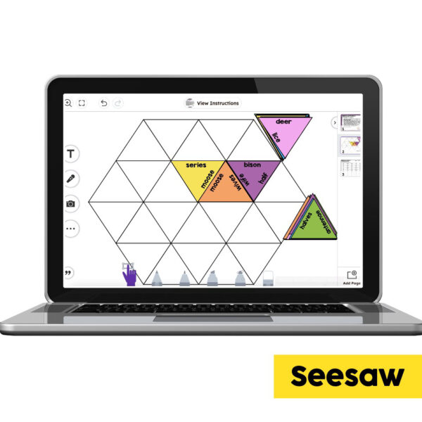 Digital Seesaw - 2nd Grade Grammar Center - Irregular Plurals - Lucky ...