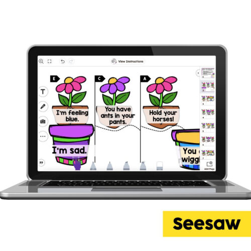 Digital Seesaw - 2nd Grade Grammar Center - Literal and Nonliteral ...