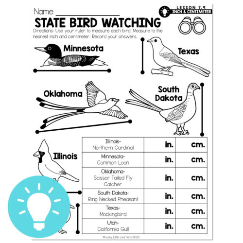 Little Bird Math Lucky to Learn Math - Lesson 7.9 - Comparing Inches and Centimeters ...