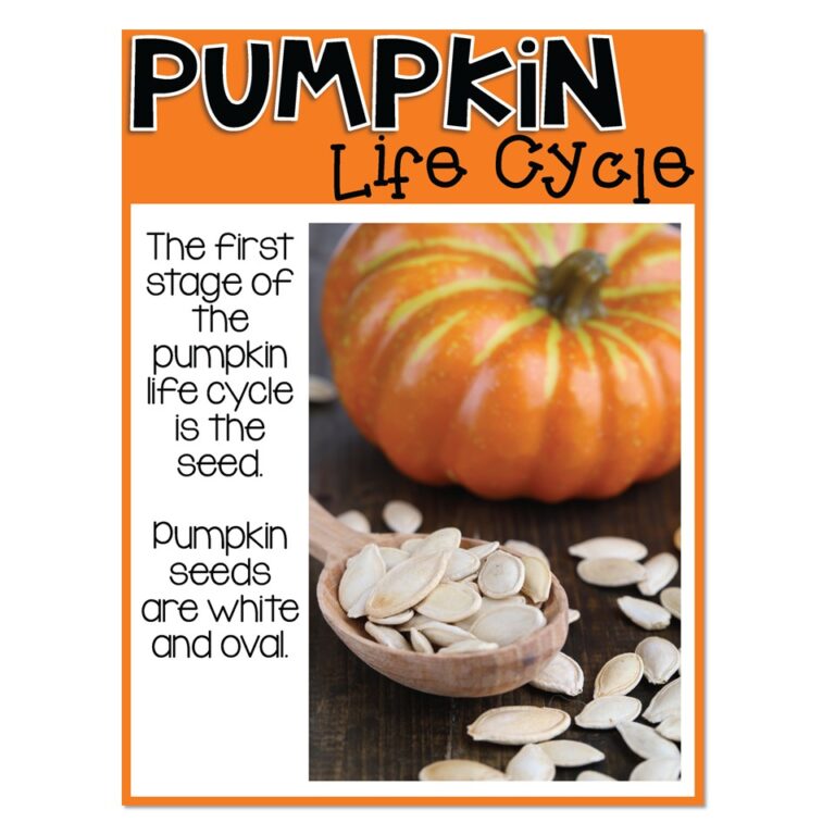 Pumpkin Unit - Pumpkin Life Cycle Read Aloud - Lucky Little Learners