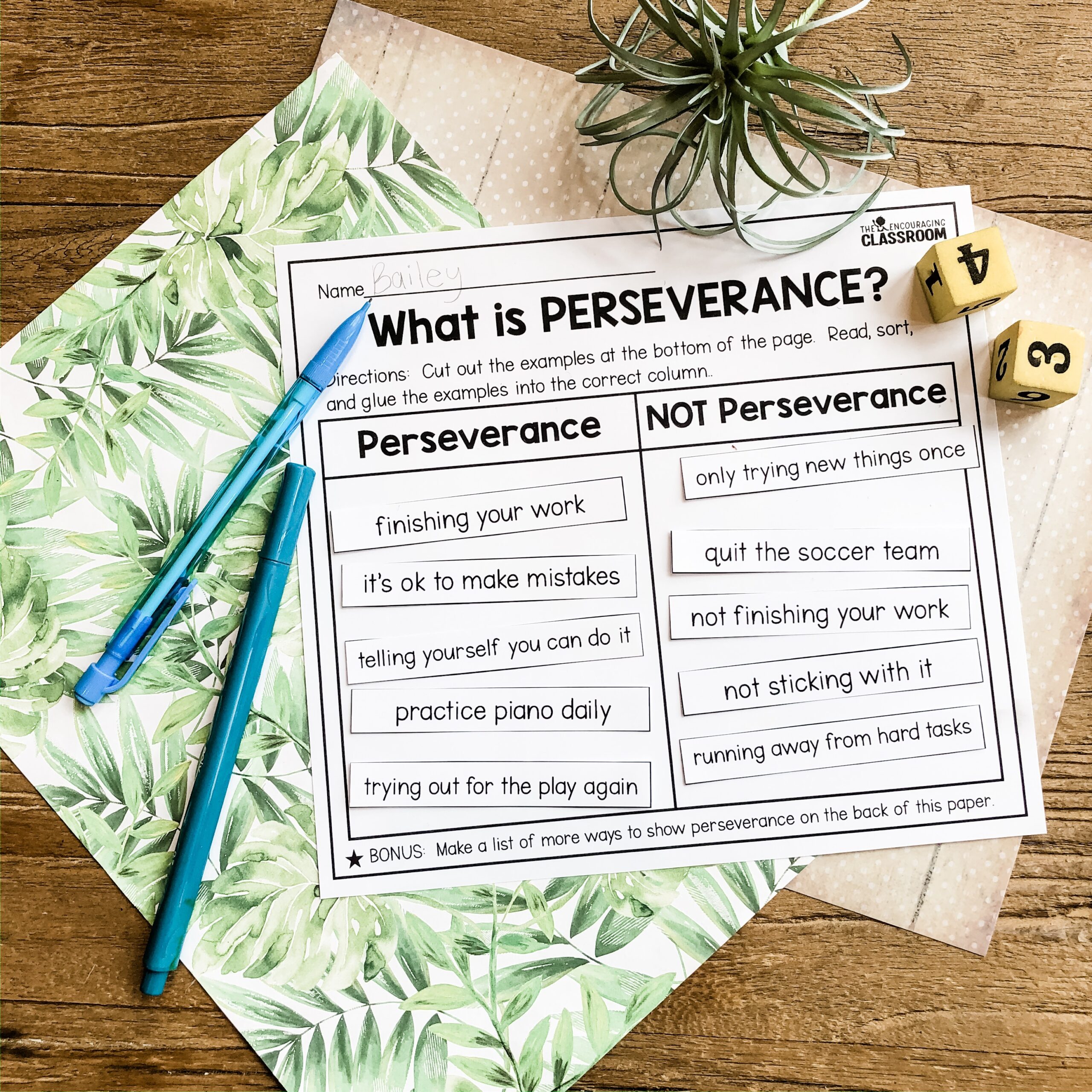 Perseverance social emotional learning activity for 1st and 2nd grade students, focusing on understanding perseverance versus not perseverance with examples and a bonus list.