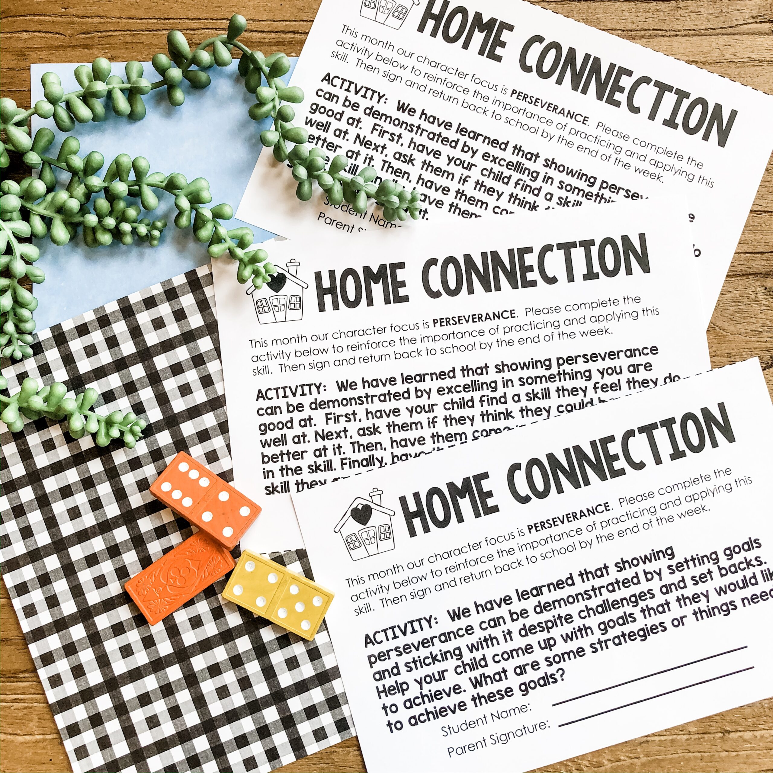 Perseverance social emotional learning activity sheets for 1st and 2nd grade students, focusing on building resilience and perseverance skills through engaging classroom exercises.