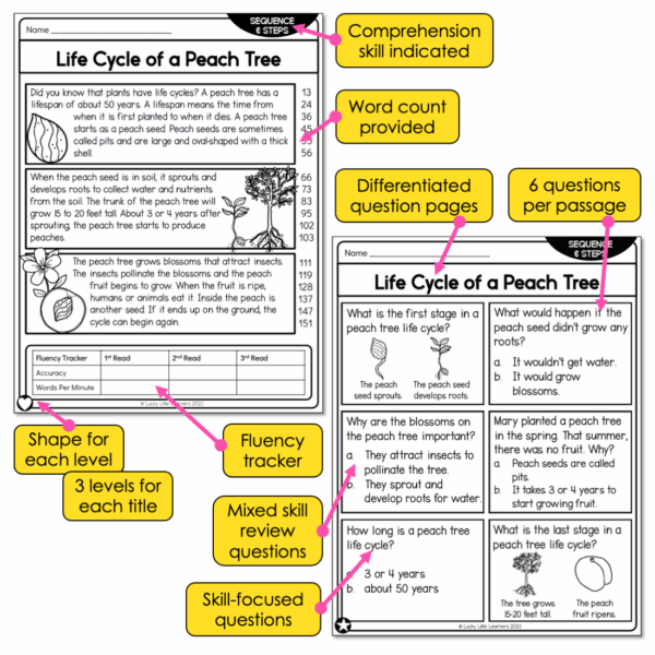 Reading Comprehension Passages Bundle - Lucky Little Learners
