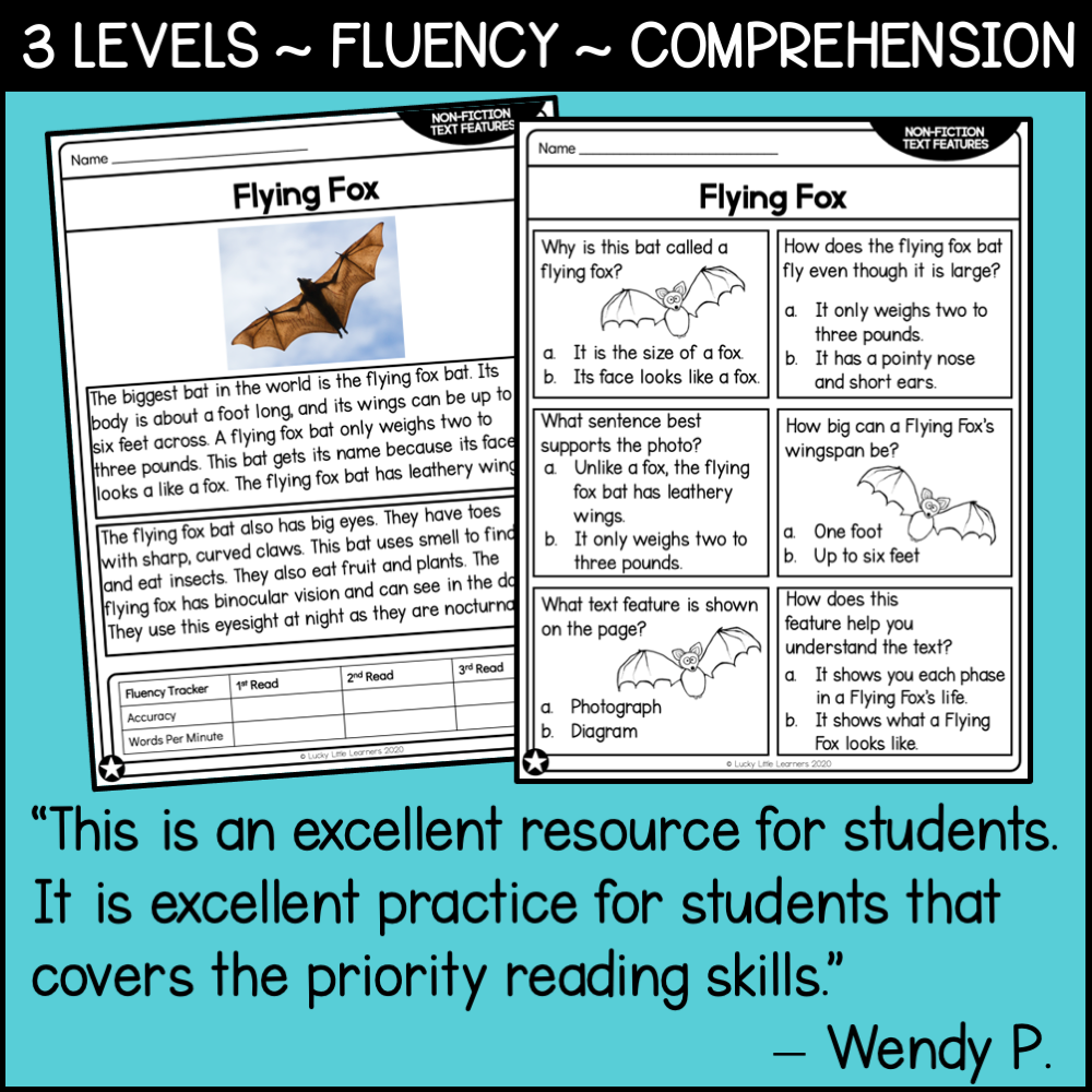 An engaging Flying Fox reading comprehension worksheet for 3rd grade students, featuring non-fiction text features, questions, and activities to enhance fluency and understanding.