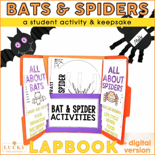 A colorful educational lapbook about bats and spiders featuring student activities, keepsakes, and facts, including life cycle, food, and behavior, designed for engaging learning on these creatures.