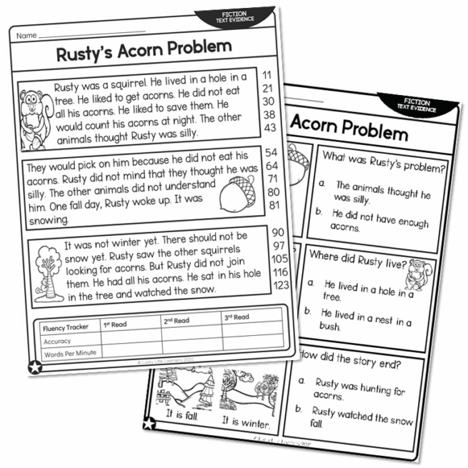 2nd Grade Fiction Text Evidence and 5 W's Reading Passage - Rusty's ...