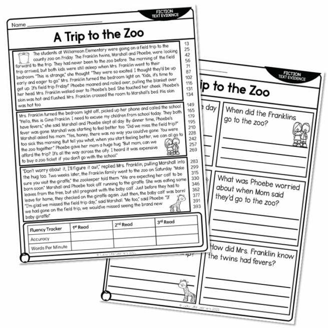2nd Grade Fiction Text Evidence and 5 W's Reading Passage - A Trip to ...