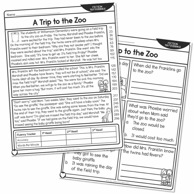 2nd Grade Fiction Text Evidence and 5 W's Reading Passage - A Trip to ...