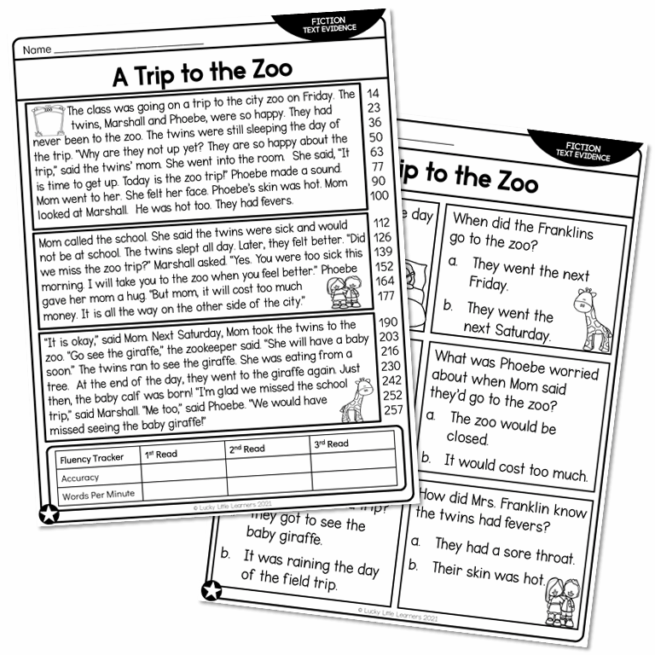 2nd Grade Fiction Text Evidence and 5 W's Reading Passage - A Trip to ...