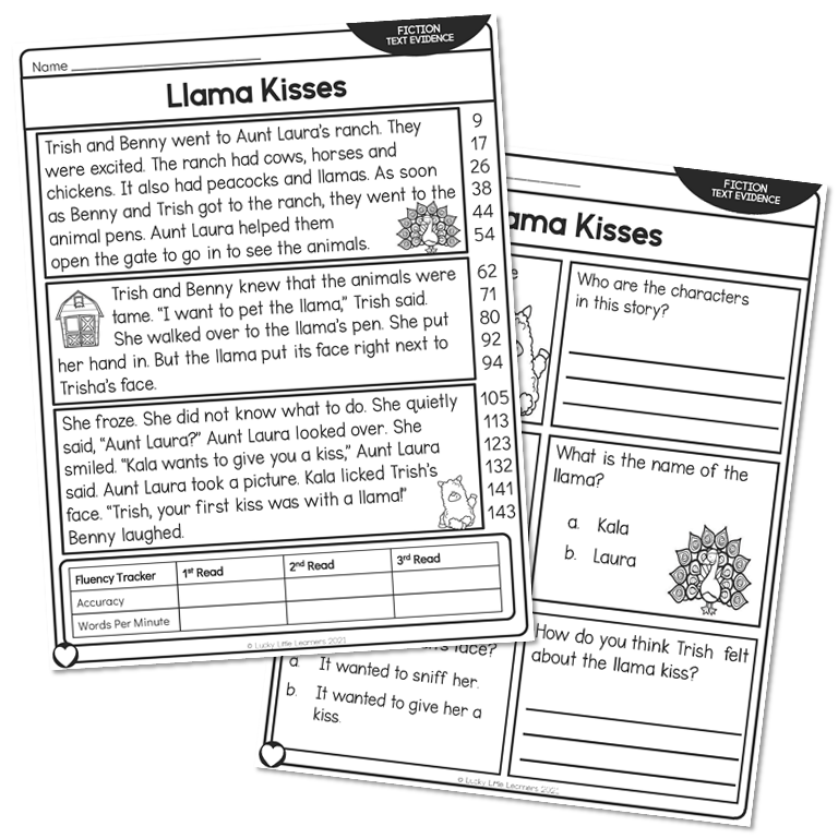 2nd Grade Fiction Text Evidence and 5 W's Reading Passage - Llama ...