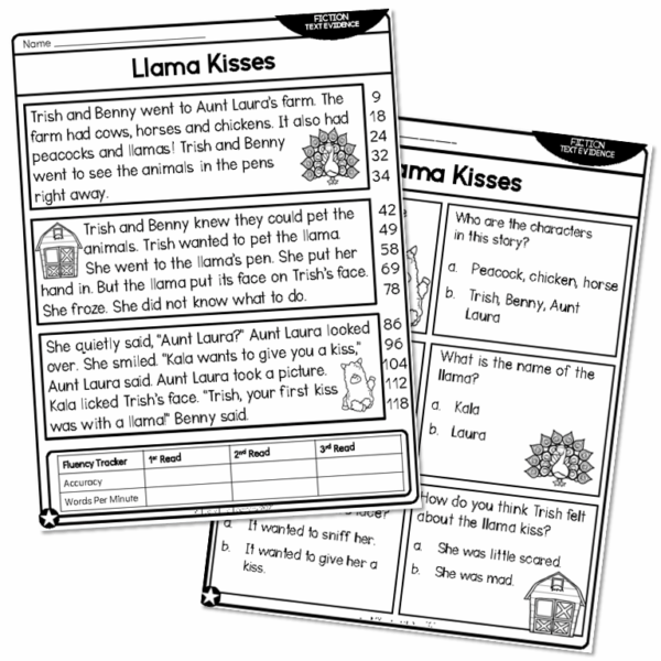 2nd Grade Fiction Text Evidence and 5 W's Reading Passage - Llama ...