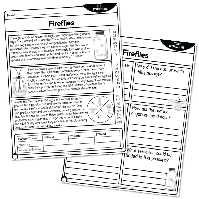 2nd Grade Nonfiction Text Structures Reading Passage - Fireflies ...