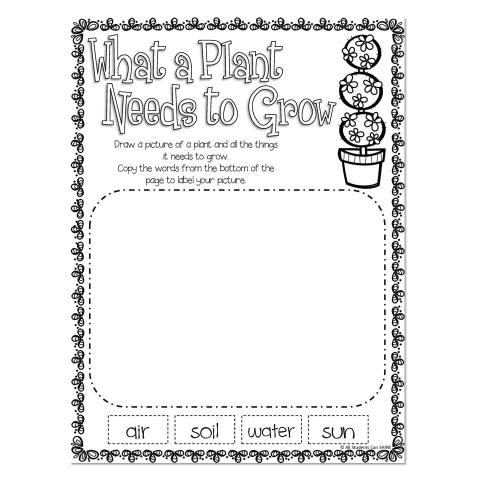 Spring Activities - What a Plant Needs to Grow - Lucky Little Learners