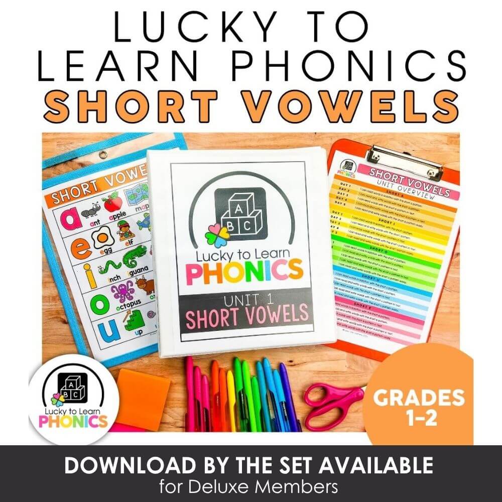 Colorful short vowels phonics learning set for grades 1-2, featuring engaging flashcards, worksheets, and activities to build early reading skills and phonemic awareness.