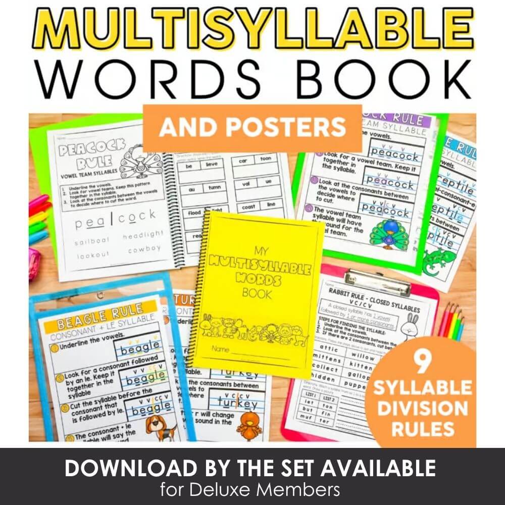 Multisyllable words book and posters for elementary classroom learning, syllable division rules, phonics activities, teaching multisyllabic words, literacy resources, early reading skills.