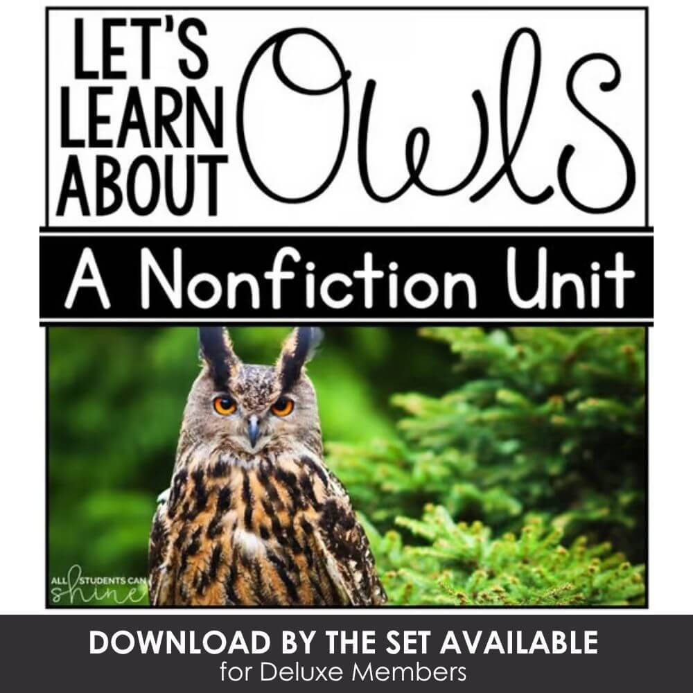 Owl nonfiction unit for early learners, includes engaging activities and lesson plans about owls, bird facts, and nature education, perfect for preschool and elementary classroom use.