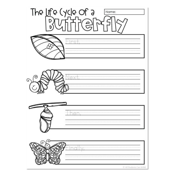 Life Cycle Writing - Sequencing - Butterfly - Lucky Little Learners