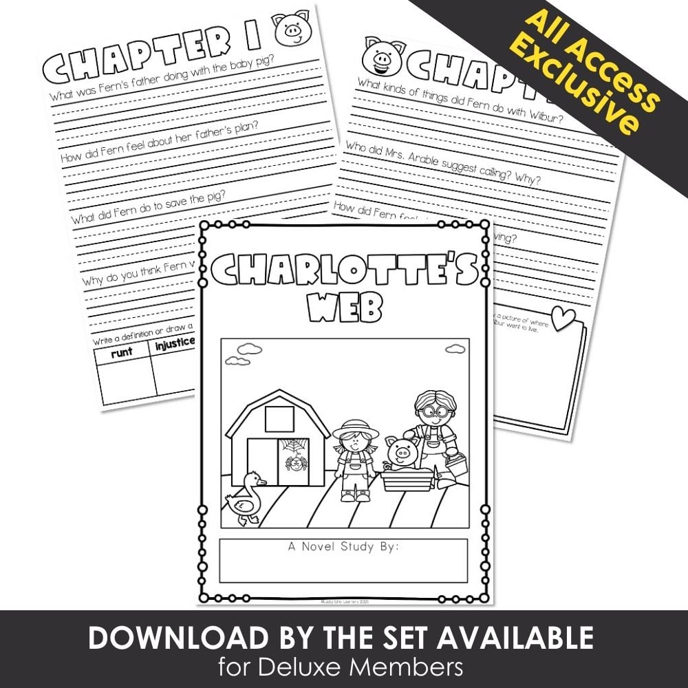 Decorative homeschool reading comprehension worksheet for Little House on the Prairie book, literacy activity for elementary students, reading practice, classroom activity, educational resource.