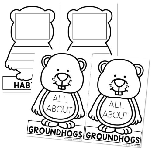 Adorable groundhog mini bulletin board set for preschool and kindergarten, perfect for all about groundhogs themed classroom decor and activities.