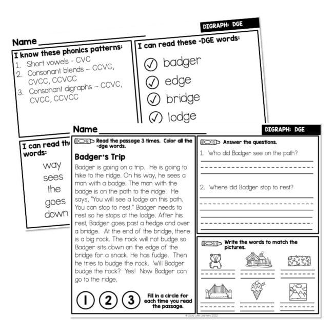 Lucky to Learn Phonics - Digraphs DGE - 2nd Grade Decodable Phonics ...