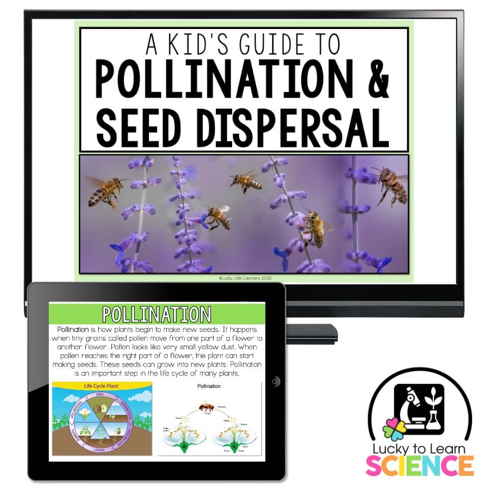 Lucky to Learn Science – Pollination & Seed Dispersal – Teaching Slides ...