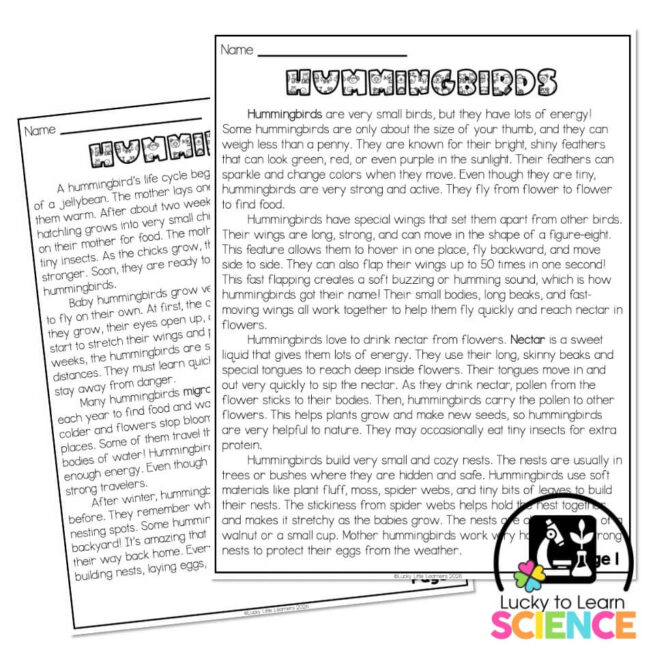 Lucky to Learn Science - Hummingbirds - Reading Passage - Lucky Little ...