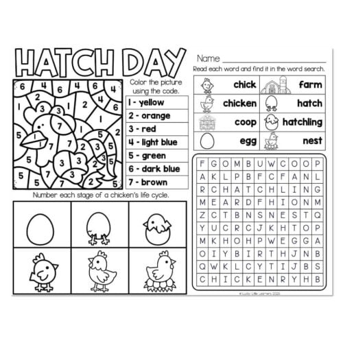 Hatch Day activity sheet with a chicken life cycle diagram, color-coded steps, and a word search featuring farm animals and related vocabulary for early learners.