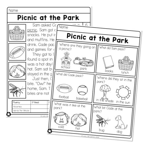 A colorful worksheet titled "Picnic at the Park" featuring questions and illustrations about a park picnic, ideal for early childhood education and literacy activities.