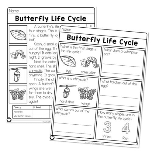 A butterfly life cycle worksheet for early learners, featuring stages like egg, caterpillar, chrysalis, and butterfly, with engaging illustrations and questions to enhance reading and science skills.