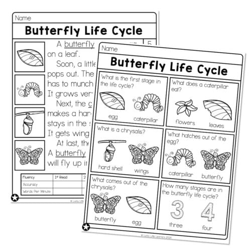 A colorful educational worksheet about the butterfly life cycle, featuring illustrations and questions to help children learn about eggs, caterpillars, chrysalises, and butterflies, ideal for early l.