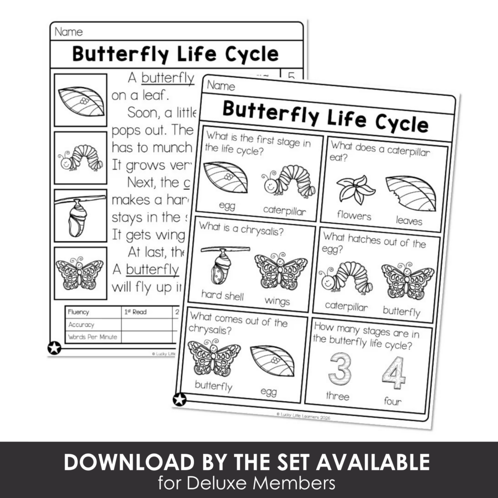 Educational worksheet on butterfly life cycle with diagrams and questions for kids, including stages from egg to butterfly, designed for early learning and science education.