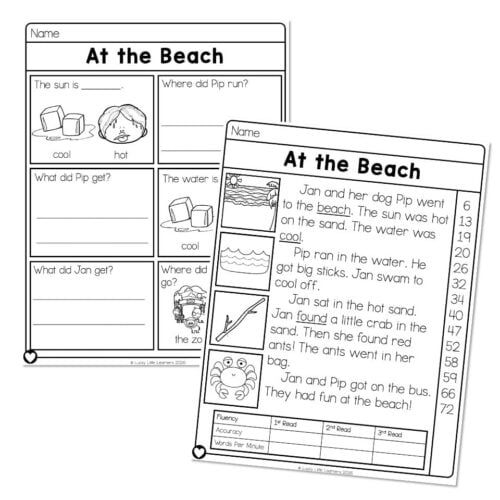 Educational worksheet titled 'At the Beach' featuring activities about Pip and Jan's beach trip, including questions about the sun, water, and animals, designed for early learners.