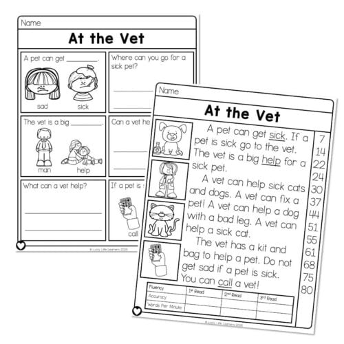 At the Vet reading worksheet for 1st grade students featuring images of a sad and sick pet, with questions about pet care and help, designed for early literacy and comprehension.