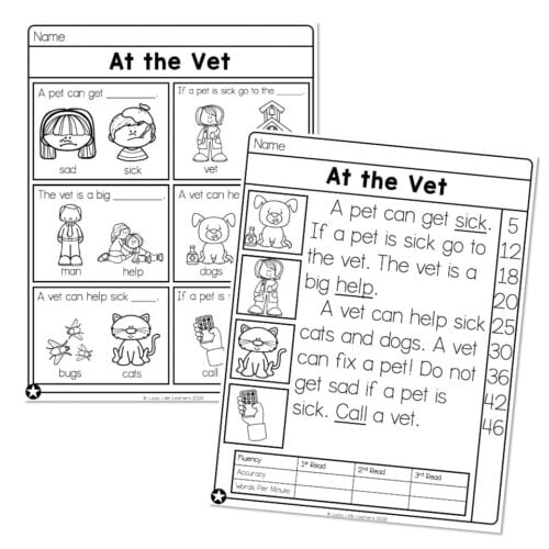 Educational worksheet titled 'At the Vet' with illustrations of a sad and sick pet, a vet, and a help sign, designed for early reading practice and pet health awareness.