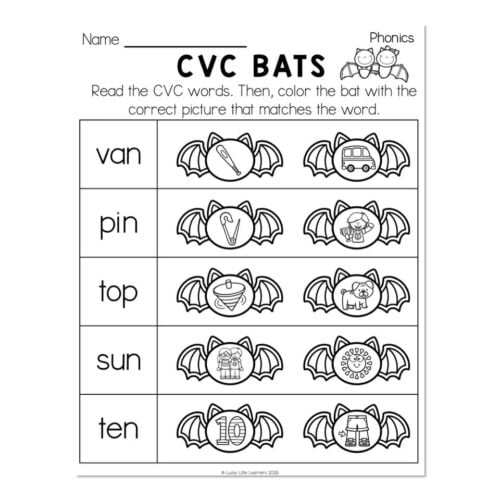 CVC Bats worksheet for phonics practice with images of a van, pin, top, sun, and ten, each with matching bat illustrations for children learning CVC words.