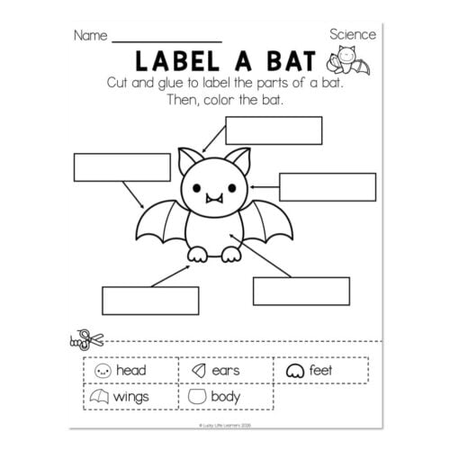 Educational worksheet for kids to label parts of a bat, including head, ears, wings, body, and feet, with a cute cartoon bat illustration and space for student input.