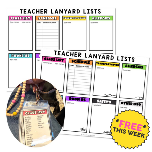 Teacher lanyard with name tag featuring class list, schedule, transportation, allergies, phone, boom, safety, and other info sections, promoting organized classroom management.